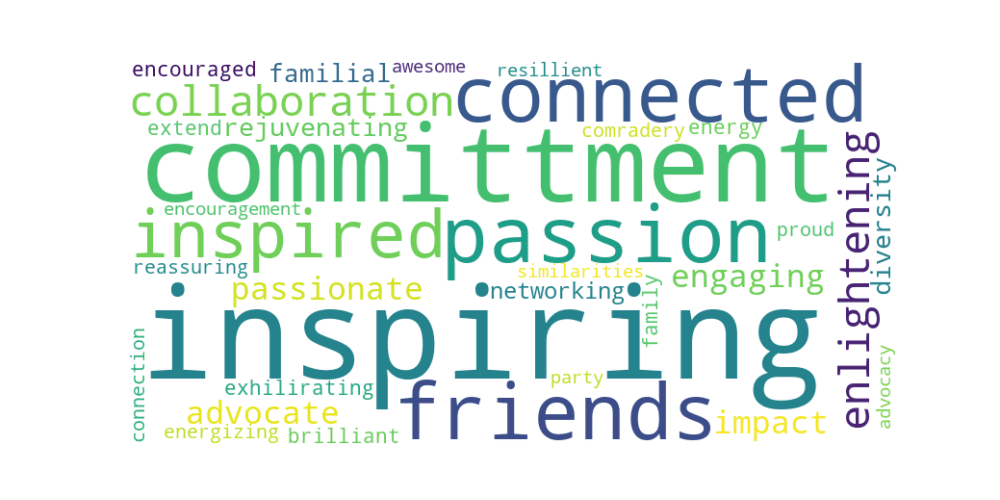 ONE WORD THAT DESCRIBES OUR ANNUAL CONFERENCE